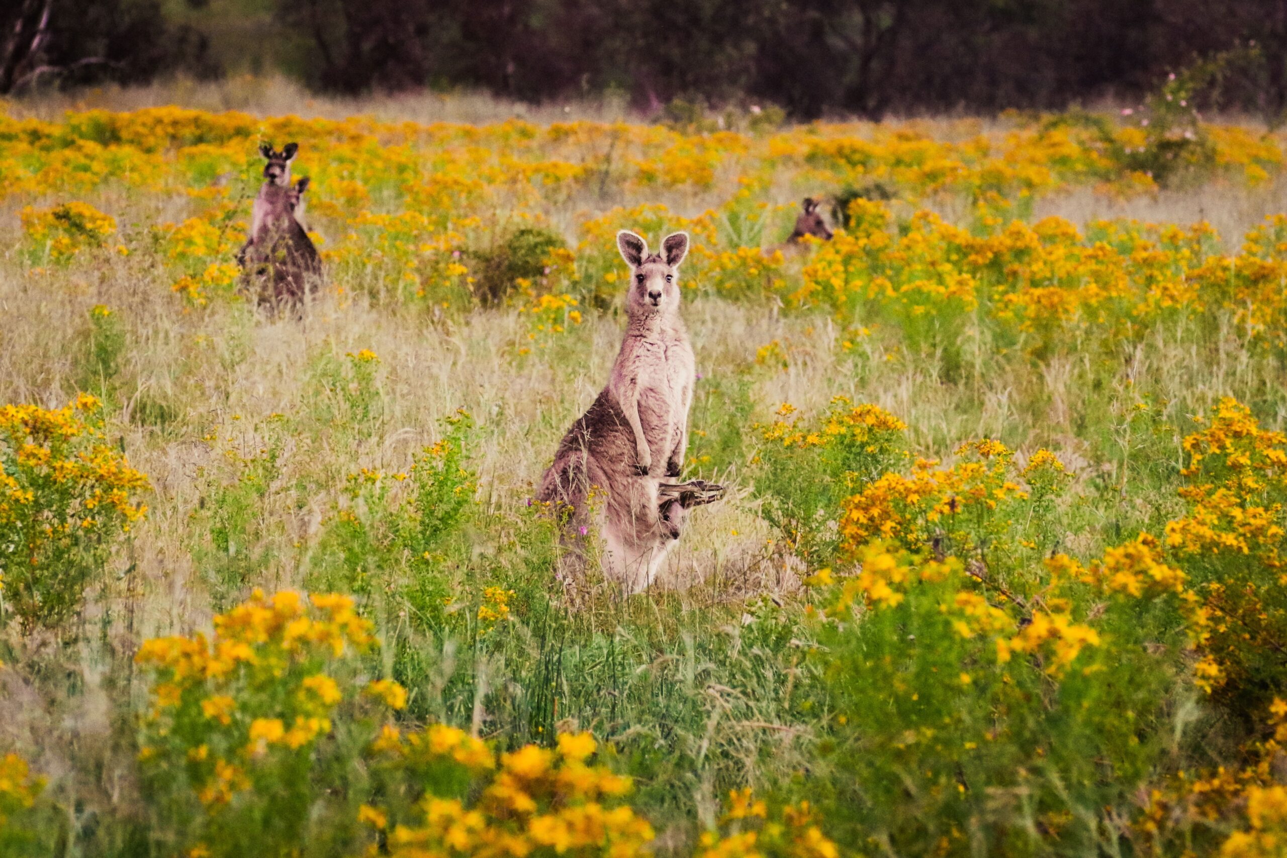 Melbourne City