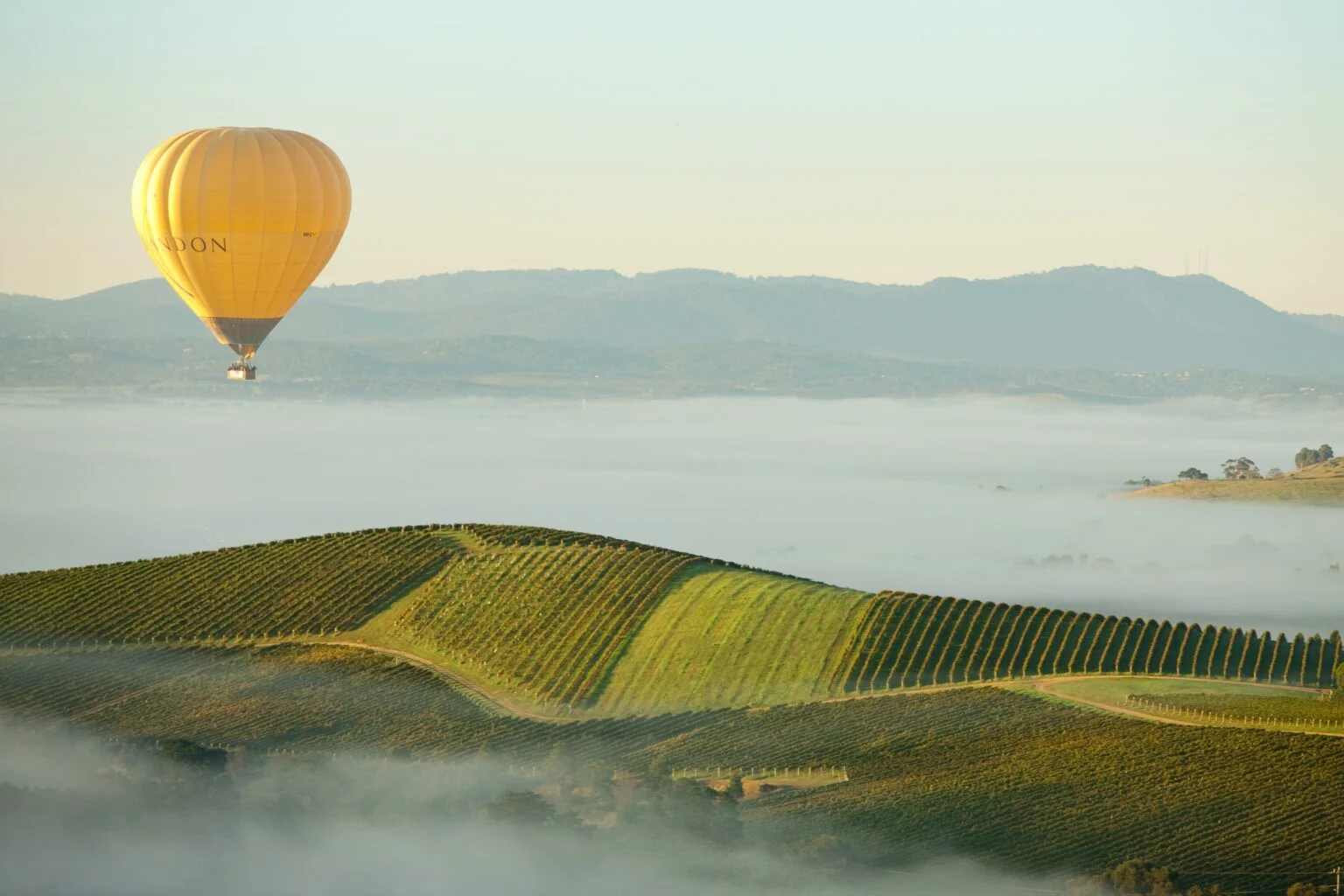 Yarra Valley