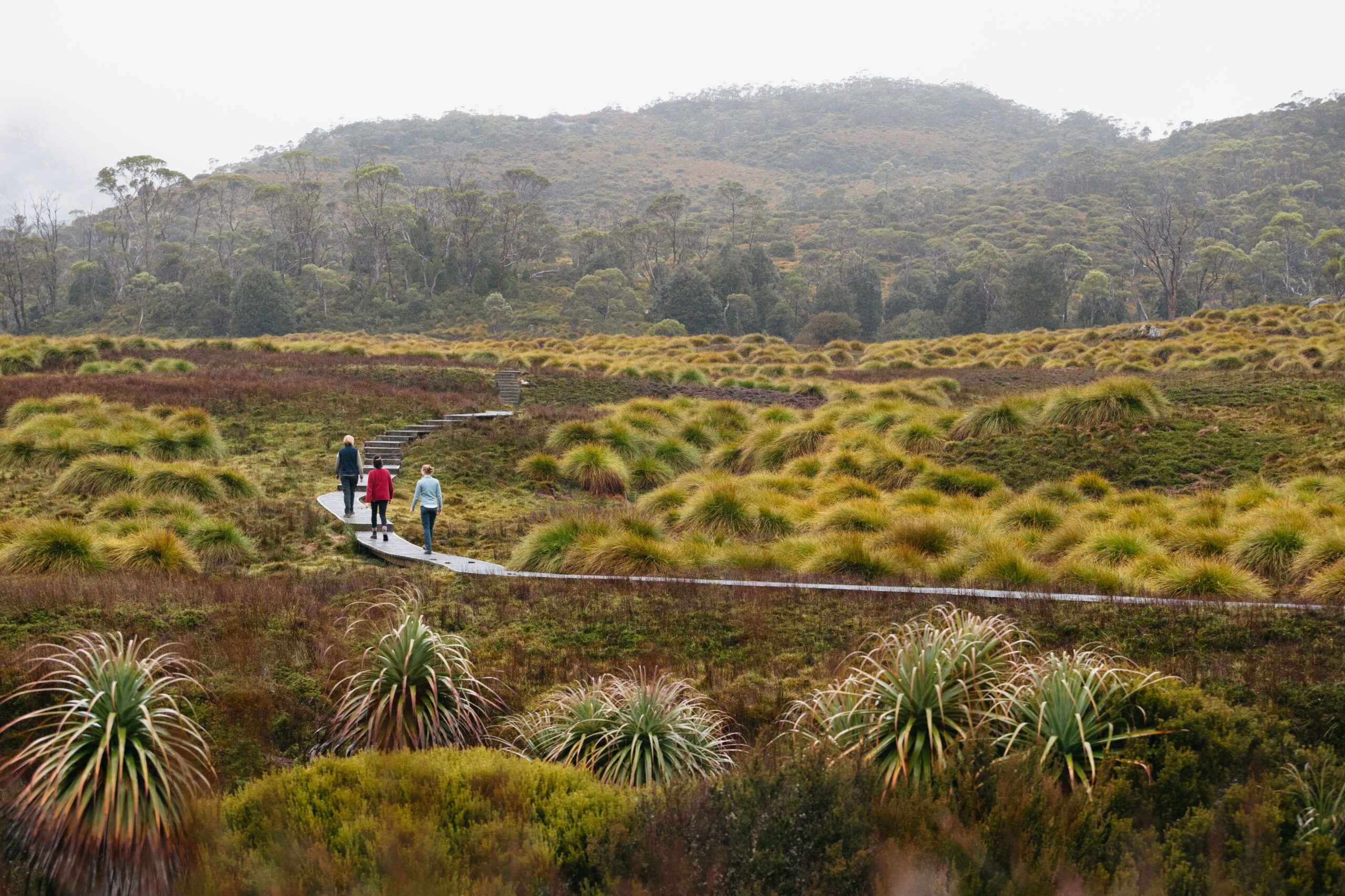 Great Ocean Road